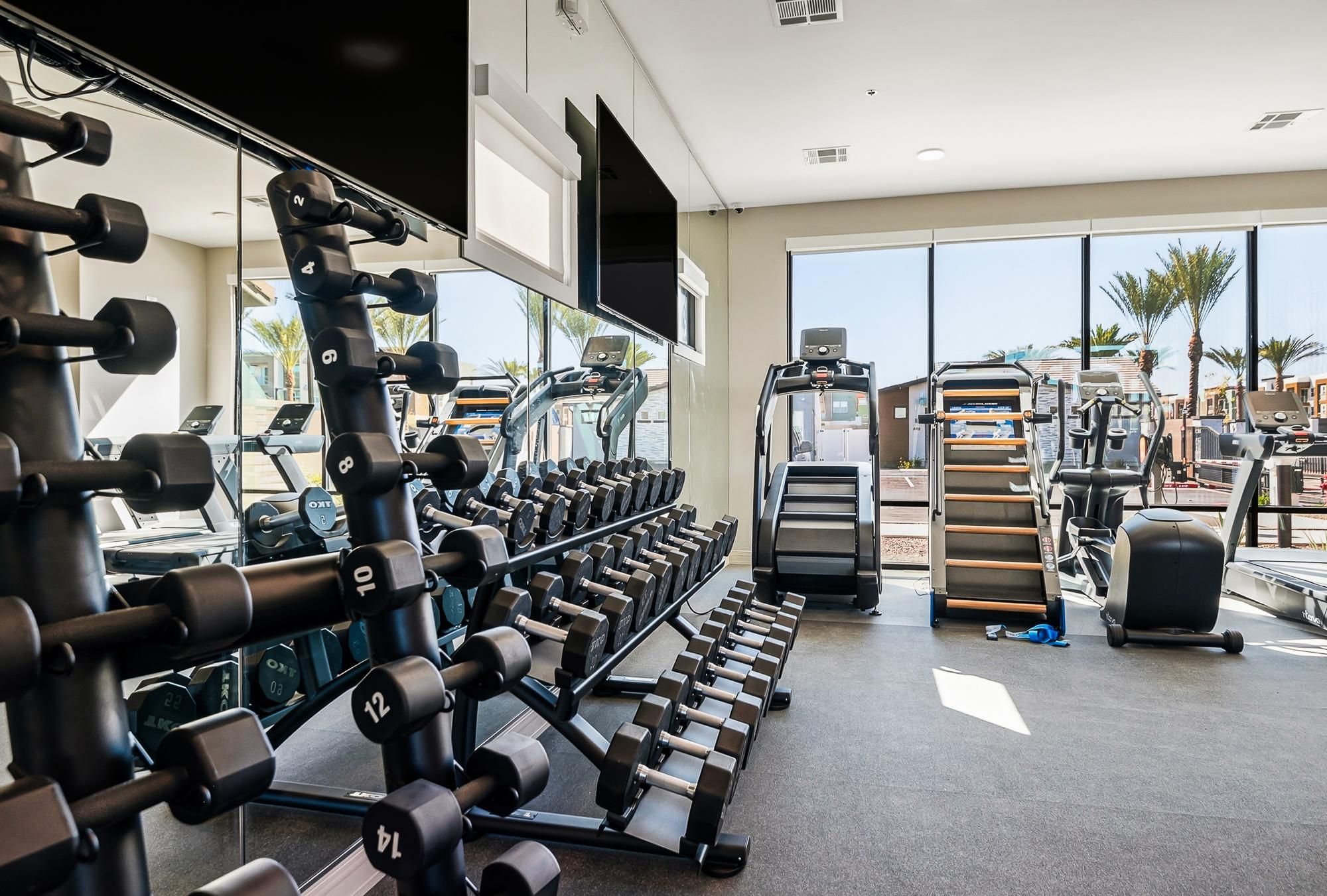 Sonita apartments Modern gym with free weights, treadmills, and cardio machines, with large windows and palm trees outside.